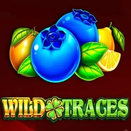 Play Wild Traces slot by Amusnet Interactive on x3bets.org